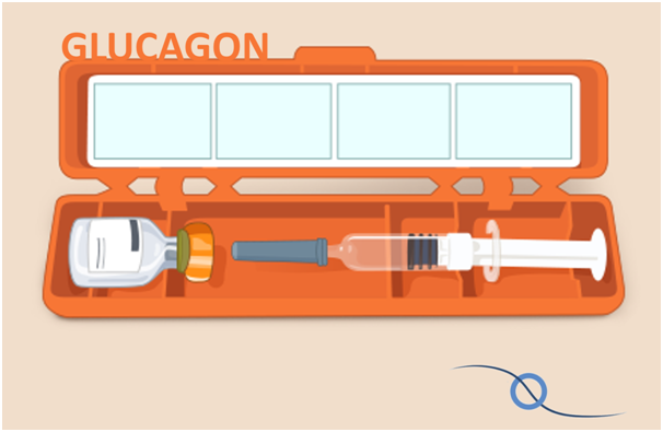 GLUCAGON: O QUE É, PRA QUE SERVE E COMO USAR
